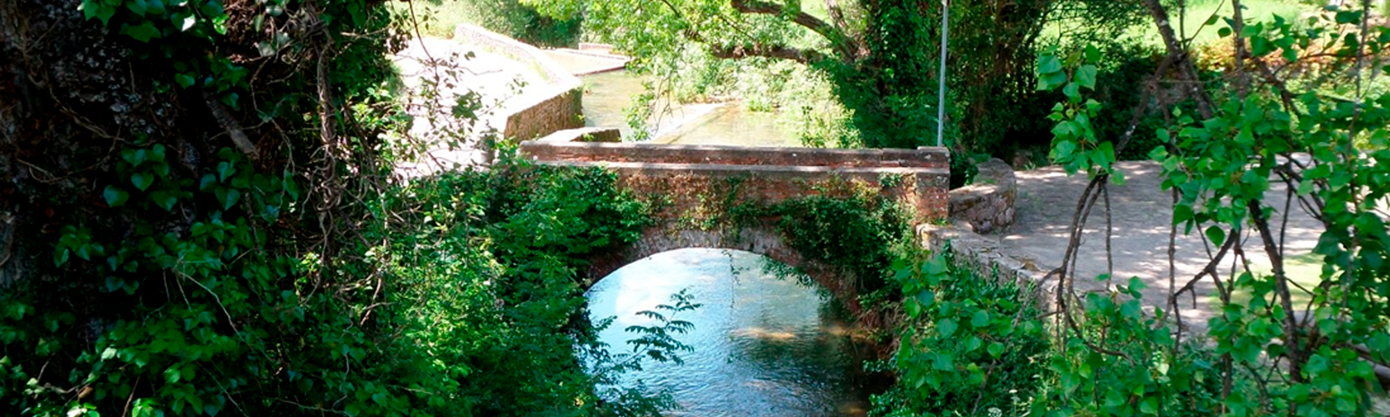 Le ofrecemos la mejor oferta inmobiliaria de Gijon y Asturias.. INMOBILIARIA ASTURIANA DE ASESORAMIENTO S.L. en Gijon Le ofrecemos la mejor oferta inmobiliaria de Gijon y Asturias.. INMOBILIARIA ASTURIANA DE ASESORAMIENTO S.L. en Gijon