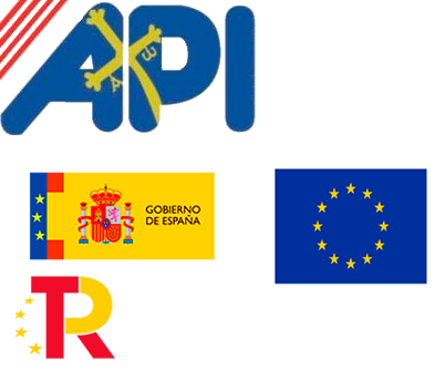 Subvencionado Kit Digital. INMOBILIARIA ASTURIANA DE ASESORAMIENTO S.L. en Gijon
